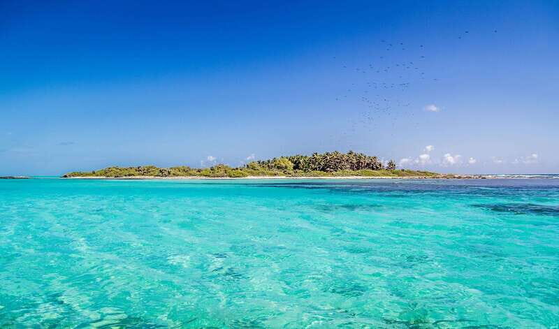 Full Day Nature Expedition to Contoy Island and Isla Mujeres - Who this tour fits, and who should skip it