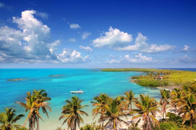 Full Day Nature Expedition to Contoy Island and Isla Mujeres - Contoy Island time: protected bird habitat and guided walking