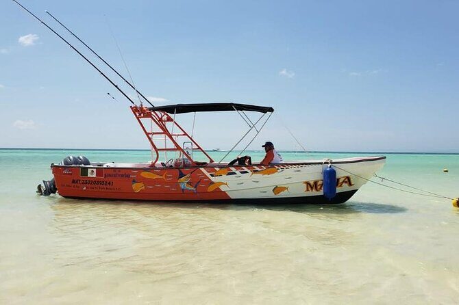 Full Day Private Deep Sea Fishing in Holbox - Heading 20–30 miles offshore: why the trip targets bigger fish