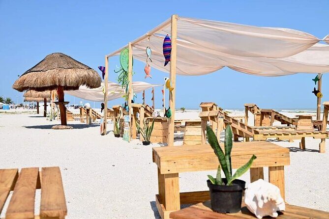 Full Day Tour of Holbox Island and Yalahau Cenote with Lunch - Getting to Chiquilá Without Losing Your Day