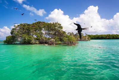 Full Day Tour of Isla Holbox and Isla Pasión with Cenote - Isla de la Pasión: panoramic views with a travel chunk included