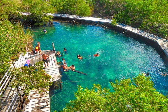 Full Day Tour of Isla Holbox and Isla Pasión with Cenote - Lunch on the move: box lunch, meal choice, and what to bring