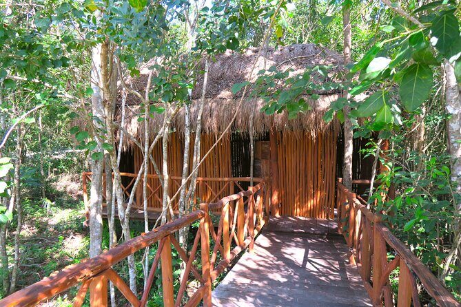 Full-Day Tour of Tulum Ruins and Cenotes with Lunch - What to bring for cenotes (so you don’t suffer later)