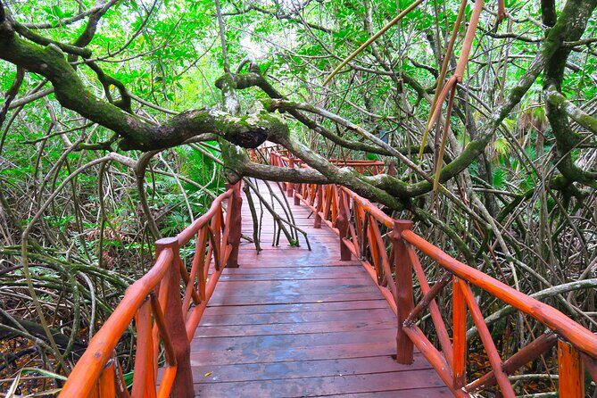 Full-Day Tour of Tulum Ruins and Cenotes with Lunch - The vibe: who this tour suits best