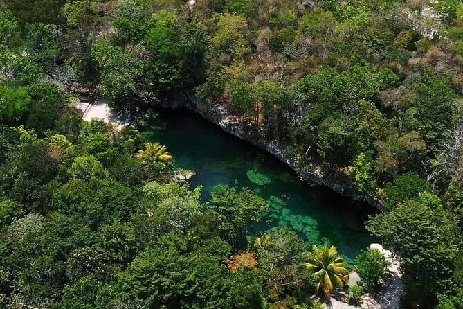 Full Day Tour to 5 Magical Cenotes in the Riviera Maya - Price and what you’re really paying for