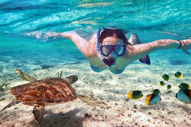 Full day tour to El Cielo in Cozumel Snorkeling and Lunch - The Ferry Jump to Cozumel: Short Ride, Big Payoff