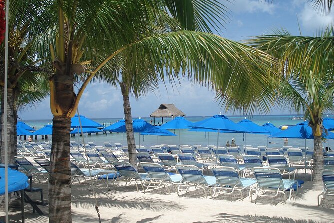 Full day tour to El Cielo in Cozumel Snorkeling and Lunch - Price and Value: $37.50 Includes More Than You’d Expect