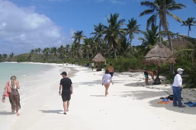 Full Day Tour to Isla Contoy and Isla Mujeres from Cancun - The Isla Mujeres hour: Playa Norte or town time (your choice)
