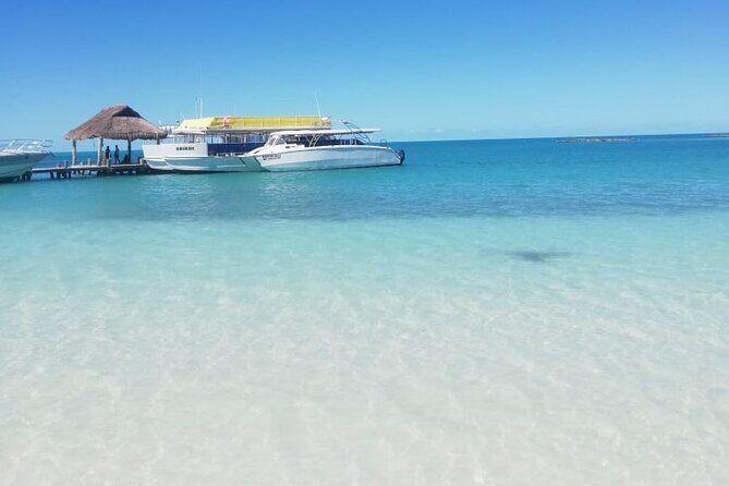 Full Day Tour to Isla Contoy and Isla Mujeres from Cancun - Morning start: hotel pickup and a simple breakfast before the water