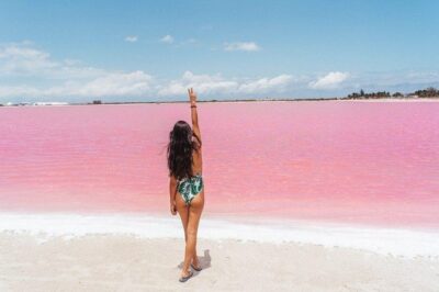 Full-Day Tour to Las Coloradas Pink Paradise in Yucatan and Rio Lagartos. - The Long (But Predictable) Road Between Cancun and Yucatán