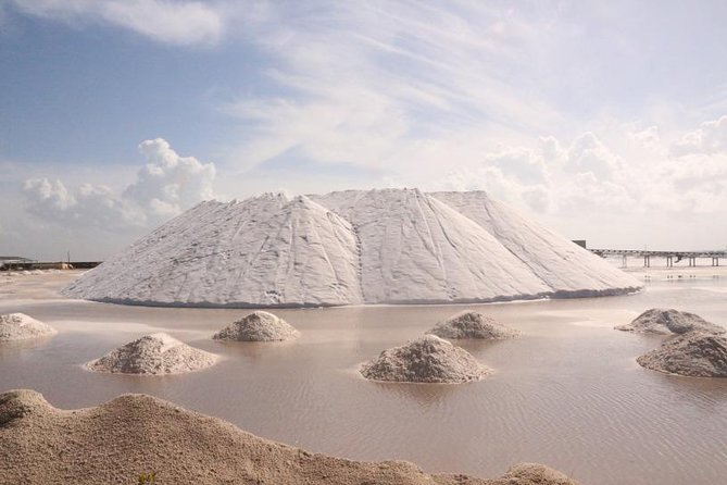 Full-Day Tour to Las Coloradas Pink Paradise in Yucatan and Rio Lagartos. - Who This Full-Day Tour Fits Best