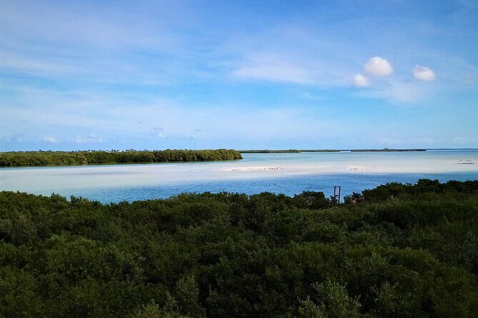 Full Day Tour to the Best of Holbox - Guides and service: the day runs smoother with the right people
