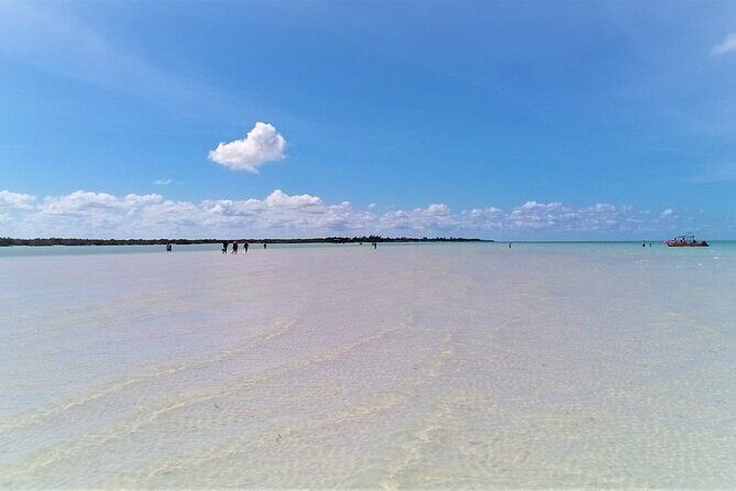 Full Day Tour to the Best of Holbox - Stop 2: Isla de la Pasion bird watching without the long wait