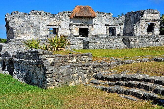 Full Day Tour to Tulum, Cenote Mariposa and Playa del Carmen Eco - Playa del Carmen’s Quinta Avenida: shopping time without the pressure