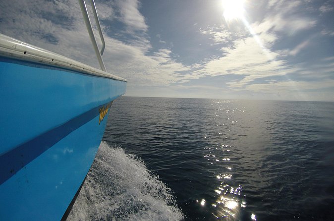 Full-Day Whale Shark Tour Puerto Morelos with Pickup and Lunch - Guide impact: Carlos and the “ready up” mindset