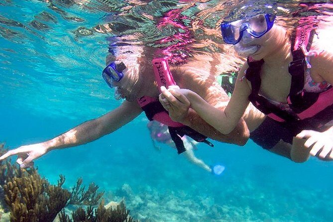 Full day Xcaret Plus & Buffet & from Cancun & Playa del Carmen - Xcaret México Espectacular Show: Your Cultural Finish Line