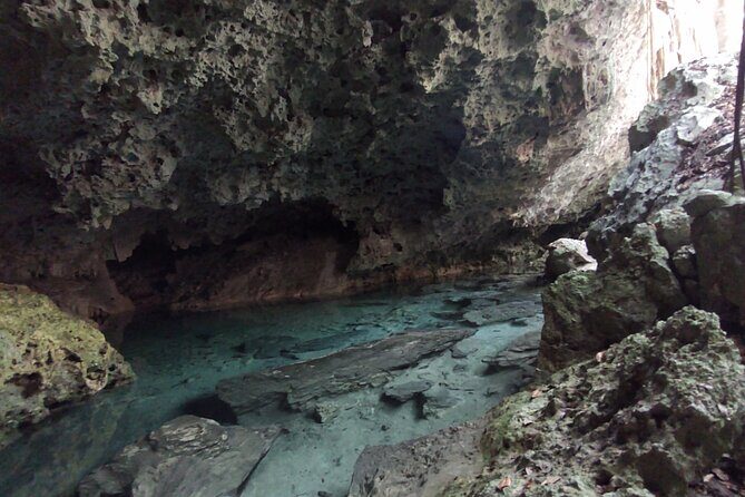 Full-dayTurtle Adventure: ATV, Zipline, Cenote & Turtle Swim - Price and value: what $130 covers and what can cost extra