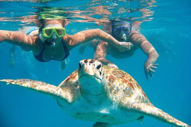 Full-dayTurtle Adventure: ATV, Zipline, Cenote & Turtle Swim - Super Akí Tulum pickup: how the day starts and why it matters
