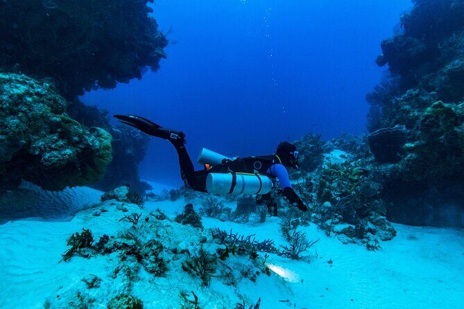 Fun Dive Machine in Playa del Carmen or Cozumel-For Certificates - Underwater safety and the 24-hour flying rule