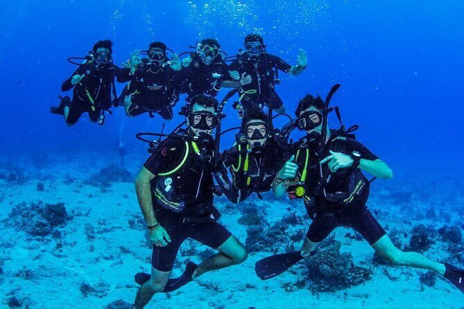 Fun dives Cozumel south marine park - Guides, safety briefings, and multilingual support