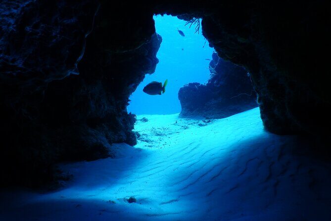 FunDiving in Cozumel - By Ferry - 2 Tanks in the wonderful Caribbean sea - Who should book this two-tank Cozumel trip