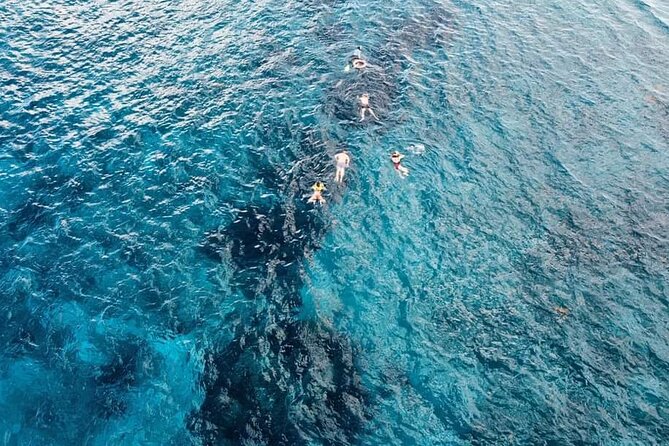 Get to know heaven on earth with Chivis del mar private - Palancar Reef: Herradura coral, tropical fish, and quick photo moments