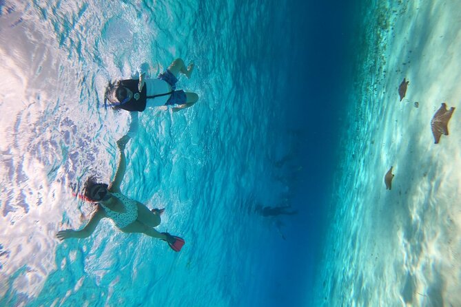 Get to know heaven on earth with Chivis del mar private - El Cielito and the ceviche break: knee-deep water and sting rays nearby