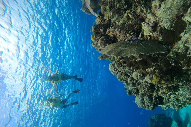 Get to know heaven on earth with Chivis del mar private - What’s included: gear, snacks, drinks, and the little souvenir win