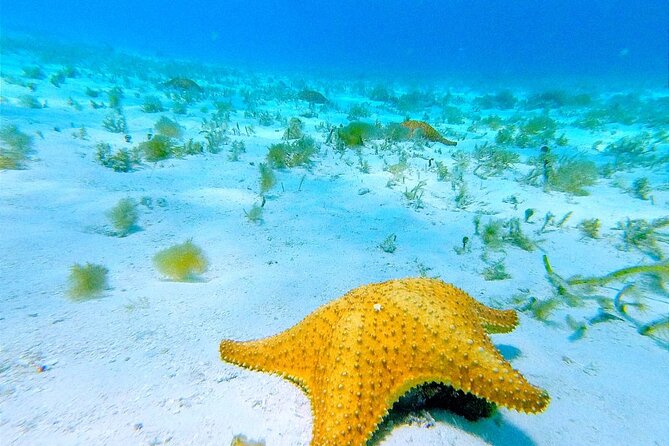 Get to know heaven on earth with Chivis del mar private - What to wear and pack for a reef-friendly snorkel day