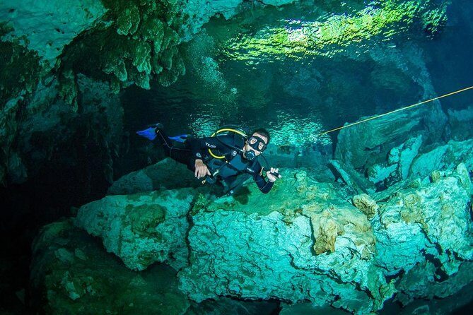 Go for 2 dives in cenote Dos ojos for certified divers - Should you book La Calypso for Cenote Dos Ojos?