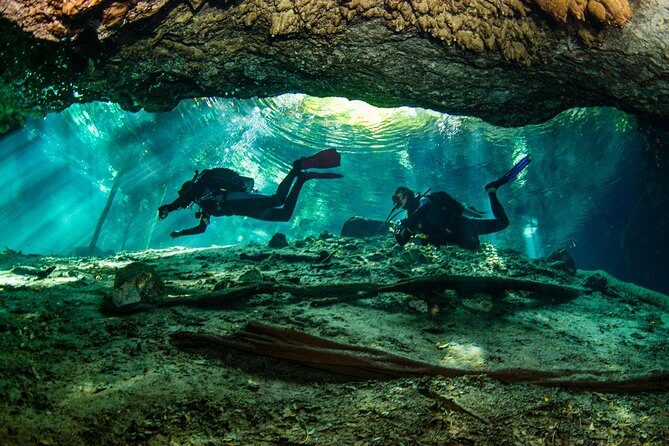 Go for 2 dives in cenote Dos ojos for certified divers - Meet-up, timing, and how the small group changes everything