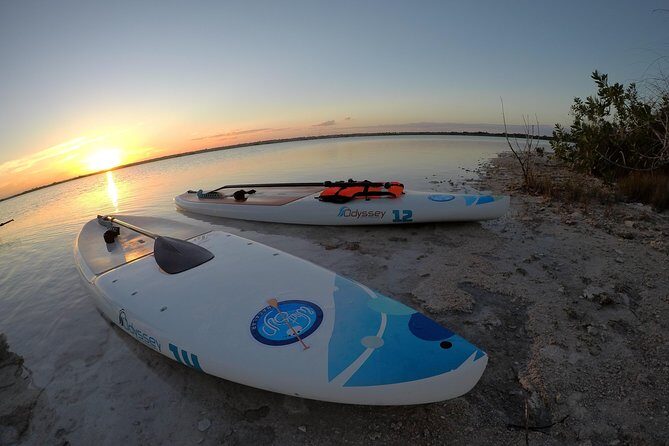 Golden Hour at Mariscal Lagoon: A Sunset to Remember - Key Highlights Worth Planning For