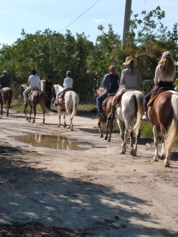 Group horseback ride on Holbox Island, Quintana Roo - Key highlights you’ll care about