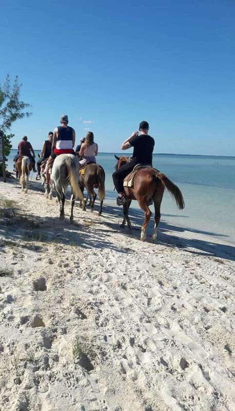 Group horseback ride on Holbox Island, Quintana Roo - Punta Siricote to Holbox’s Mangroves: what makes this ride worth it