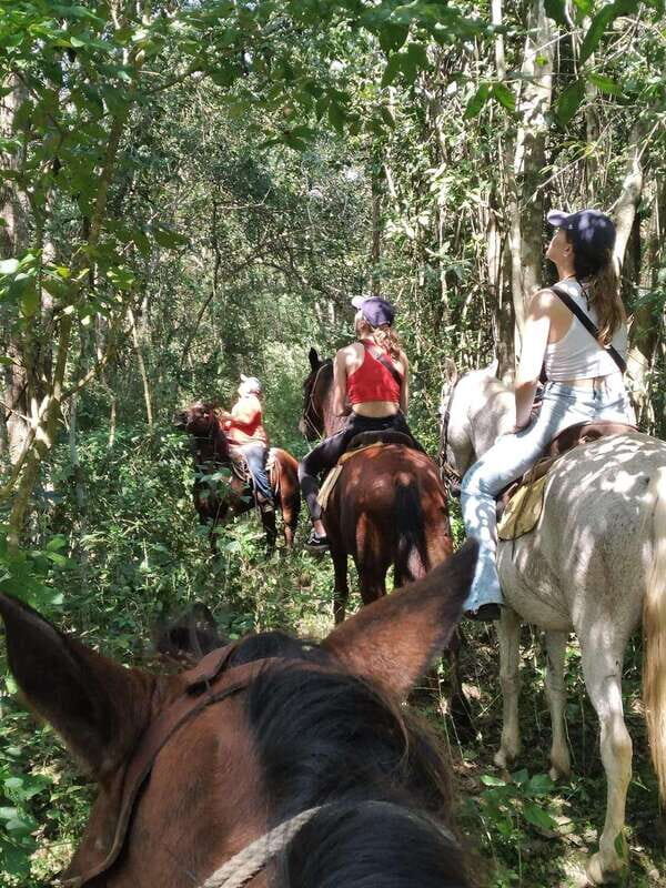 Group horseback ride on Holbox Island, Quintana Roo - Your horse, your comfort level: pace rules and what they mean