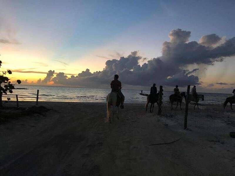 Group horseback ride on Holbox Island, Quintana Roo - What the route feels like: mangrove trail, then beach at Punta Siricote