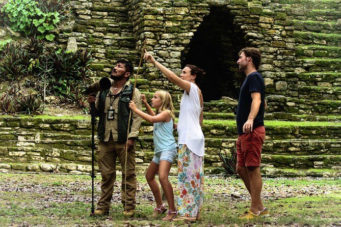 Guided historical tours at the Mayan cities! - Stop 2: Maya architecture with local flora and fauna focus