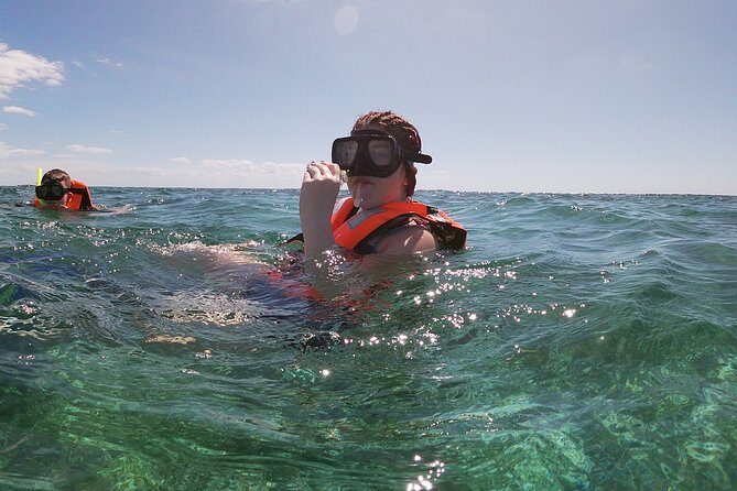 Guided Tour of Puerto Morelos Reefs with Snorkeling Experience - Should You Book the Puerto Morelos Reef Snorkeling Tour?