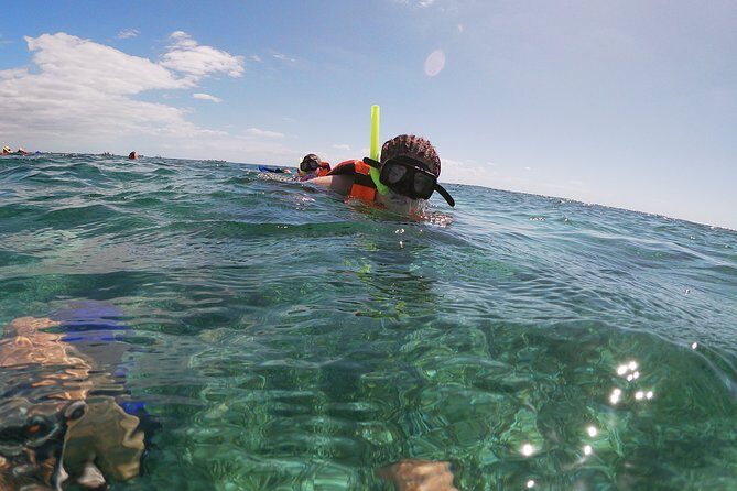 Guided Tour of Puerto Morelos Reefs with Snorkeling Experience - After Snorkeling: Tacos by the Seashore and a Puerto Morelos Stroll
