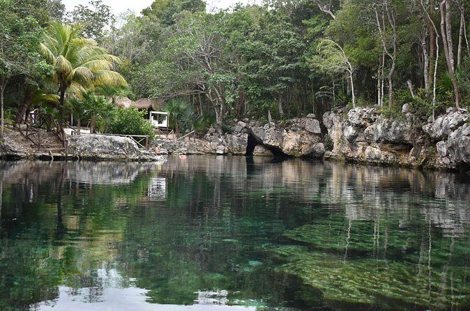 Half Day Cenotes Tour - “3 cenotes” vs what you might actually see: set expectations early