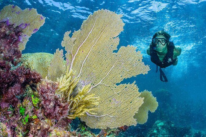 Half Day Guided Snorkeling Adventure Tour from Cancun - Equipment and safety reality check (including those life vests)