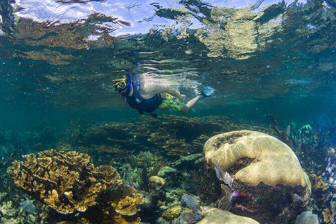 Half Day Guided Snorkeling Adventure Tour from Cancun - Lunch at the beach club: the part that makes the day feel complete