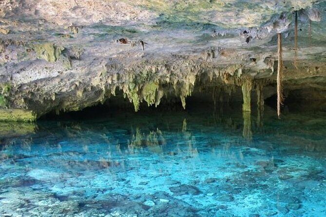 Half Day Horseback Riding Adventure with Cenotes in the Jungle - Pickup, Meeting Point, and Why Timing Matters