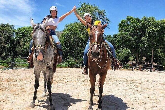Half Day Horseback Riding Adventure with Cenotes in the Jungle - Who Should Book This, and Who Might Skip It