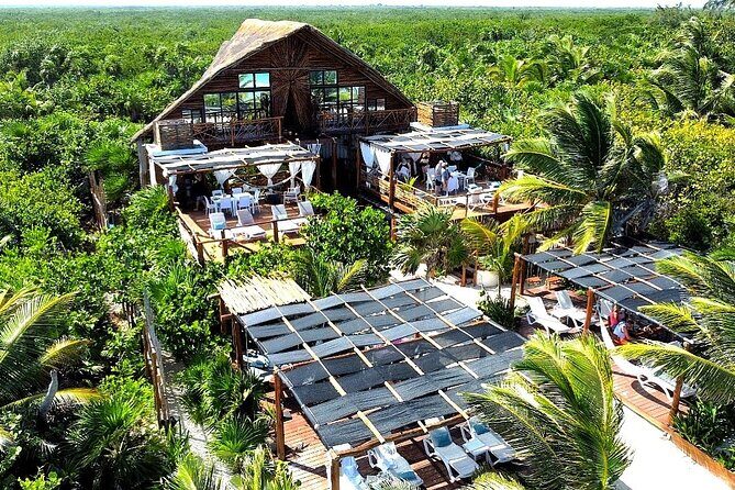 Half Day Private Costa Maya Beach Break - The Weather Reality Check: Wind and Sargassum Happen