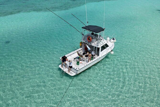 Half Day Private Fishing Charter in Cozumel - The main fishing session: 4 hours on the water, with sonar and downriggers