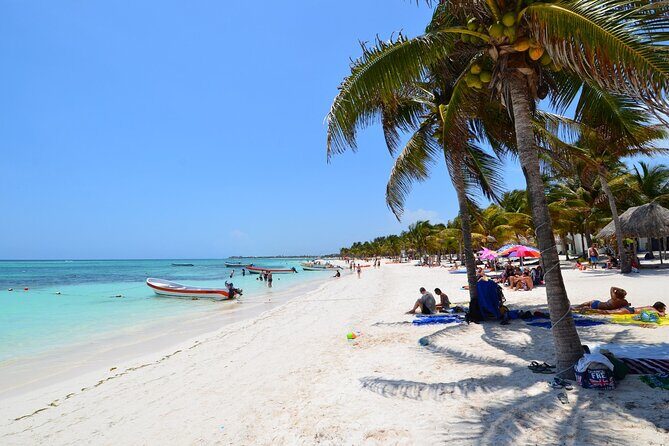 Half Day Private Snorkeling with Turtles and Majestic Cenotes - Akumal Beach Snorkeling: Sea Turtles in Their National Reef Home