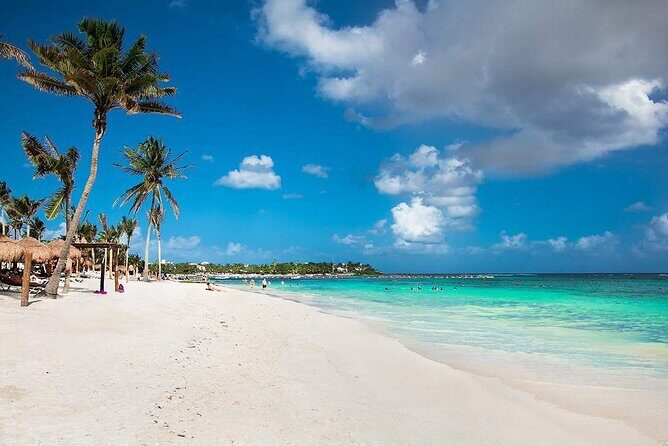 Half Day Private Snorkeling with Turtles and Majestic Cenotes - Who This Tour Fits Best in Tulum