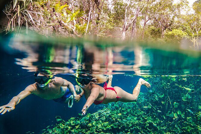 Half Day Private Snorkeling with Turtles and Majestic Cenotes - Should You Book This Turtles and Majestic Cenotes Tour?