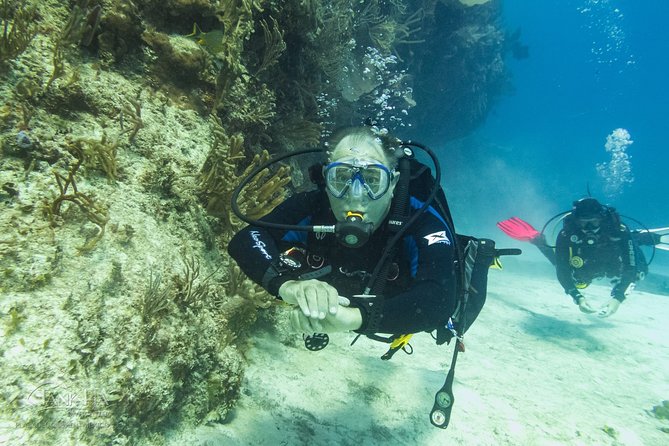 Half-Day Scuba Diving in Playa del Carmen for Small-Group - Underwater expectations: corals, fish, and the best surprise animals